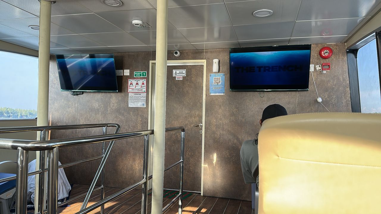 Dolphin Ferries - Interior