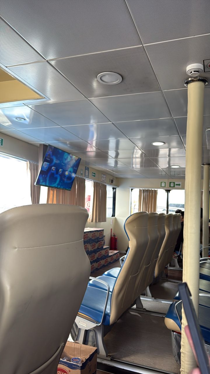 Dolphin Ferries - Interior
