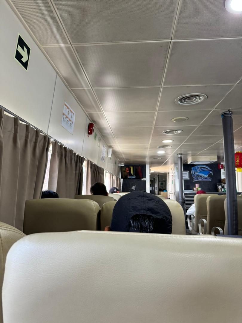 Dolphin Ferries - Interior