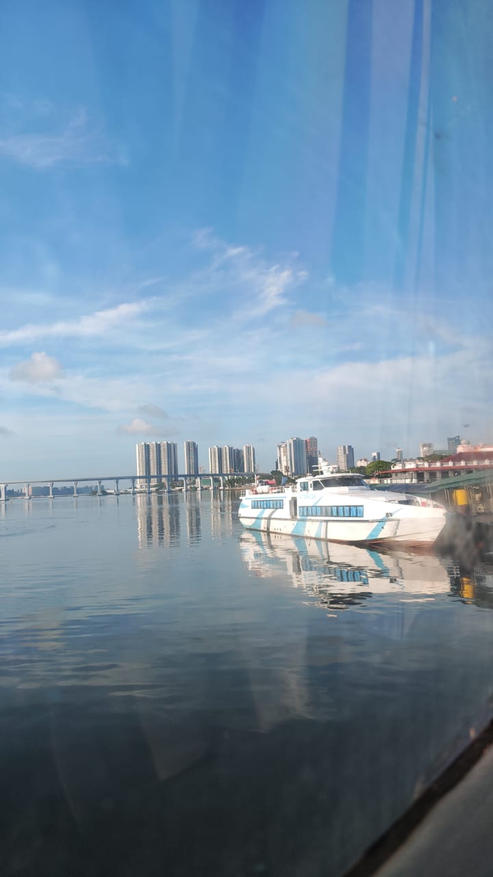Dolphin Ferries - BP