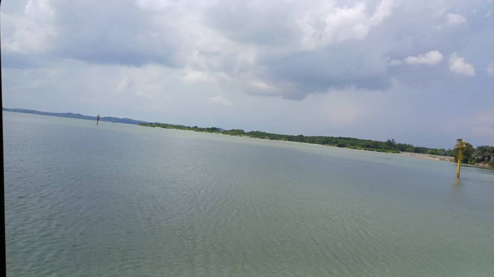 Dolphin Ferry - Others