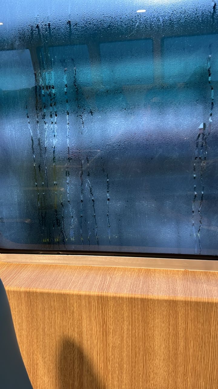 Dolphin Ferry - Others