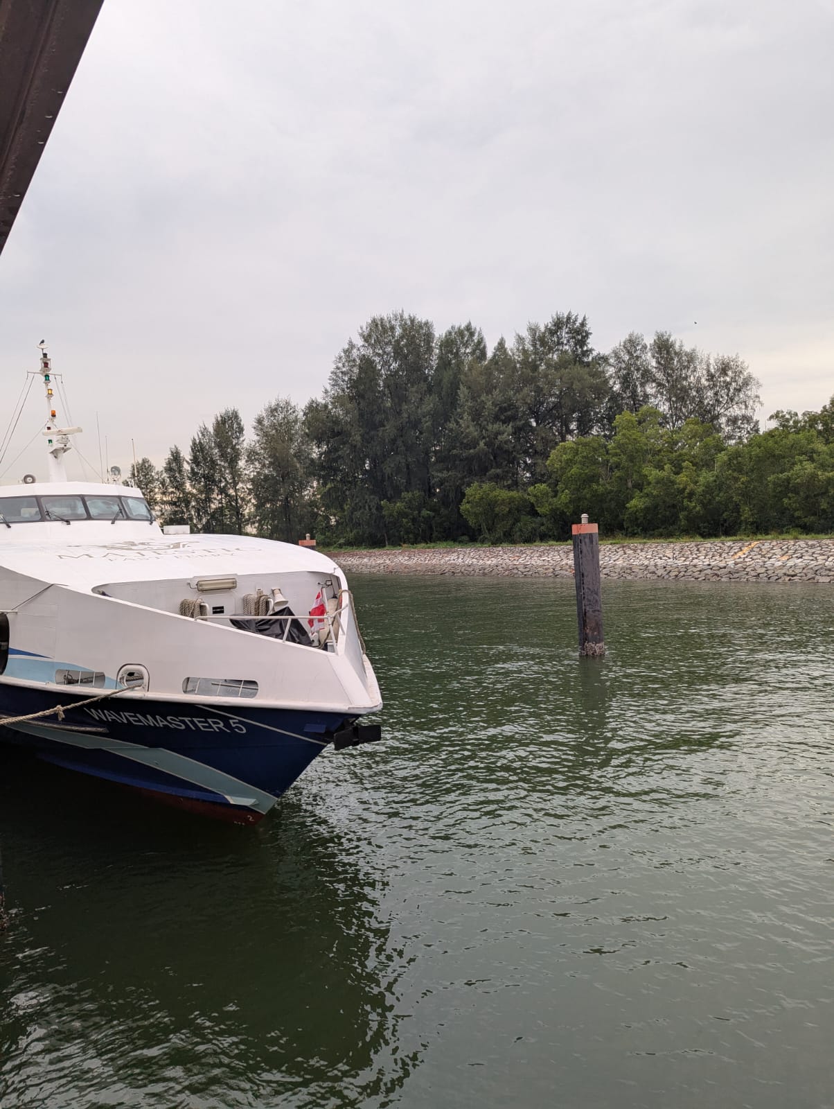 Majestic Fast Ferry - Exterior