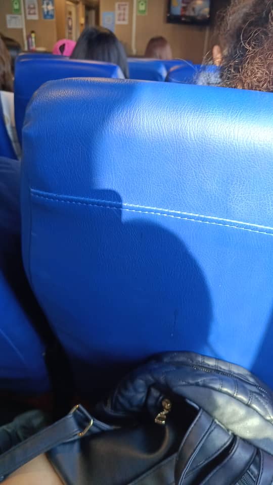 Dolphin Ferries - Interior