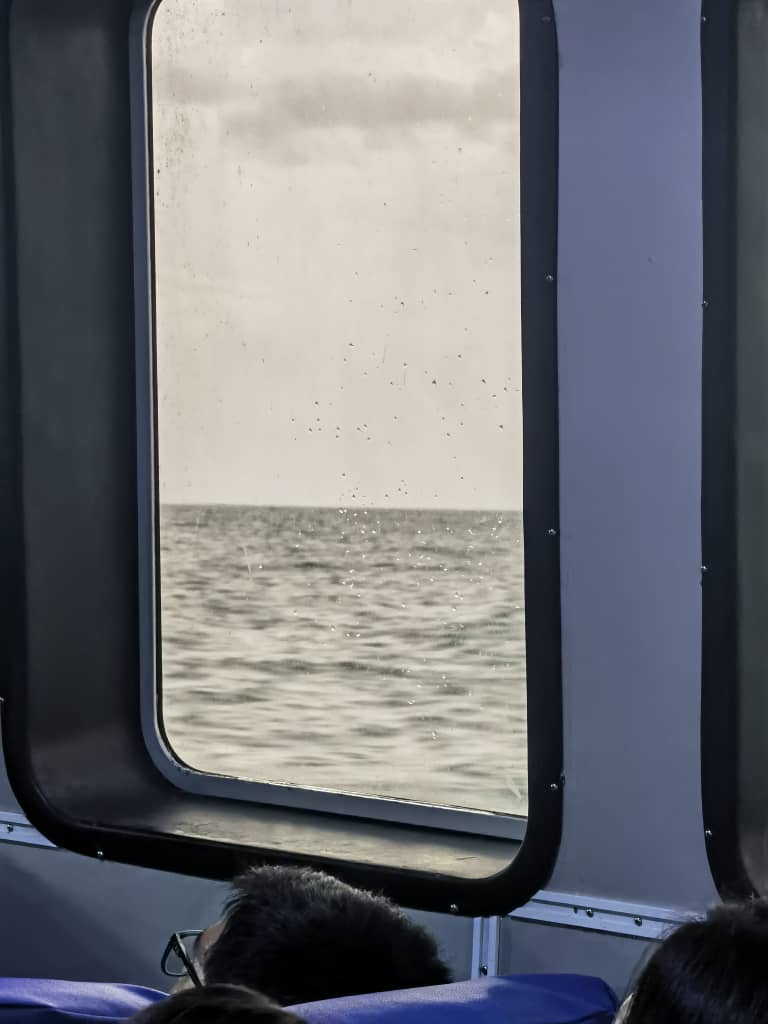 Blue water Ferry - Others