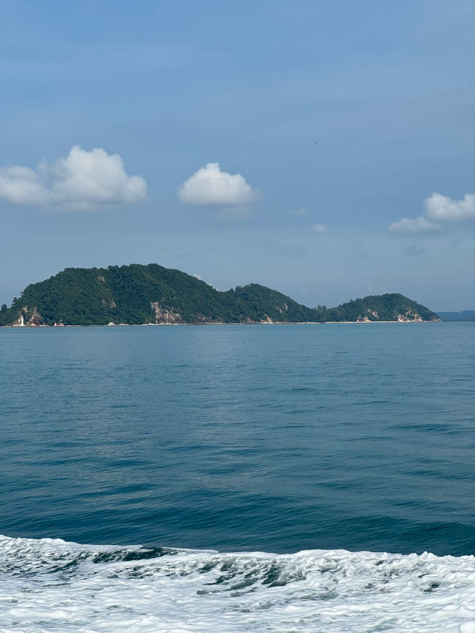 Blue water Ferry - Others