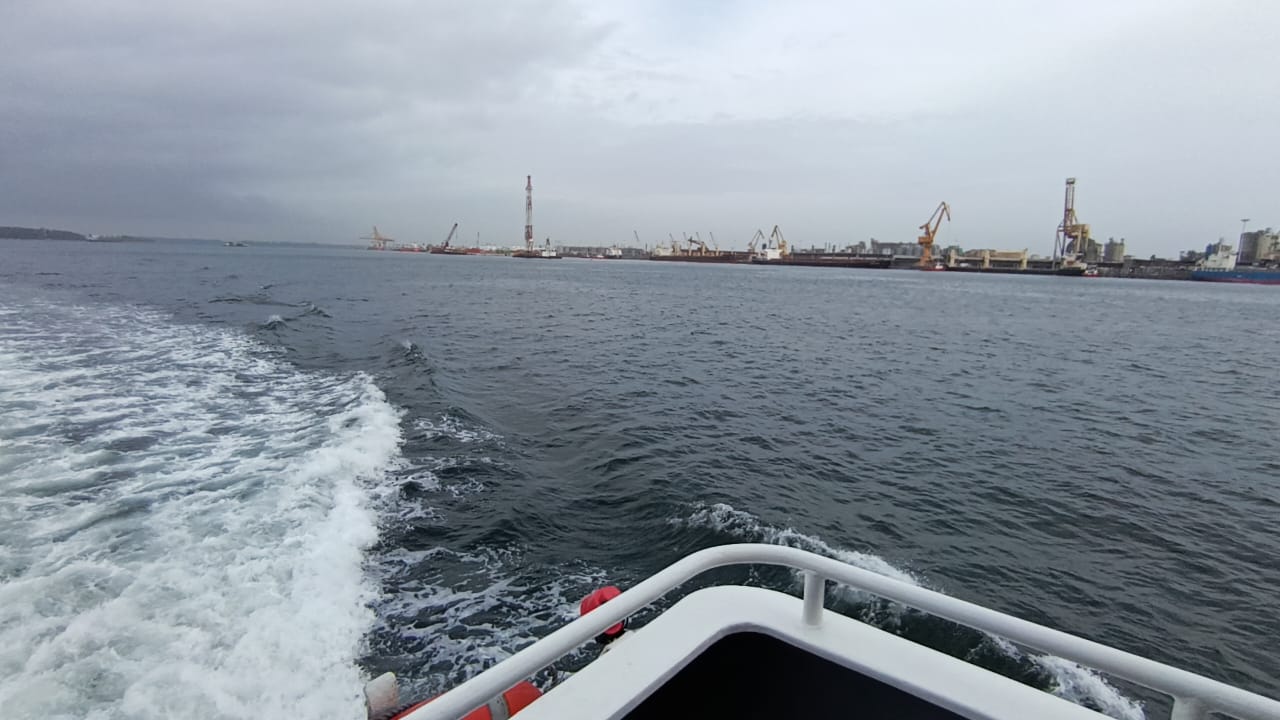 Dolphin Ferry - BP