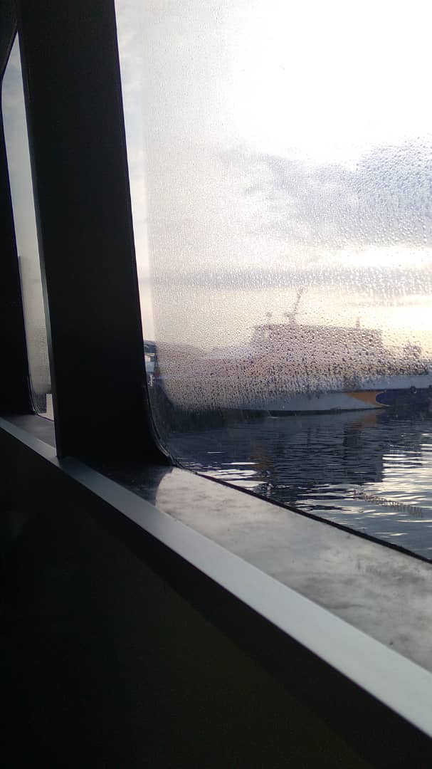 Dolphin Ferry - Others