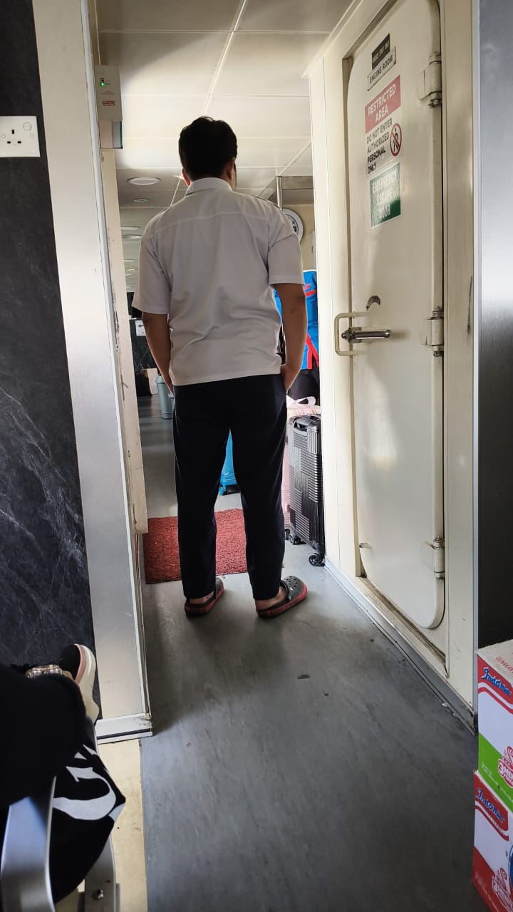 Dolphin Ferry - Others