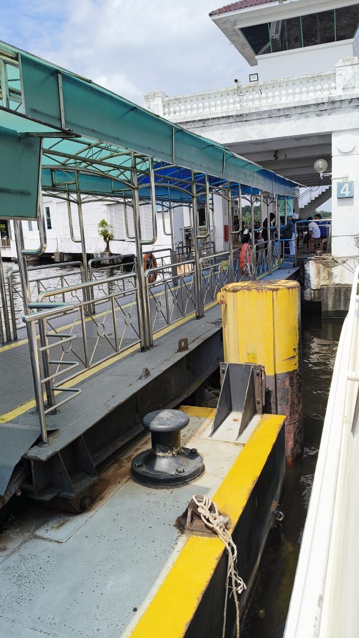 Dolphin Ferry - BP