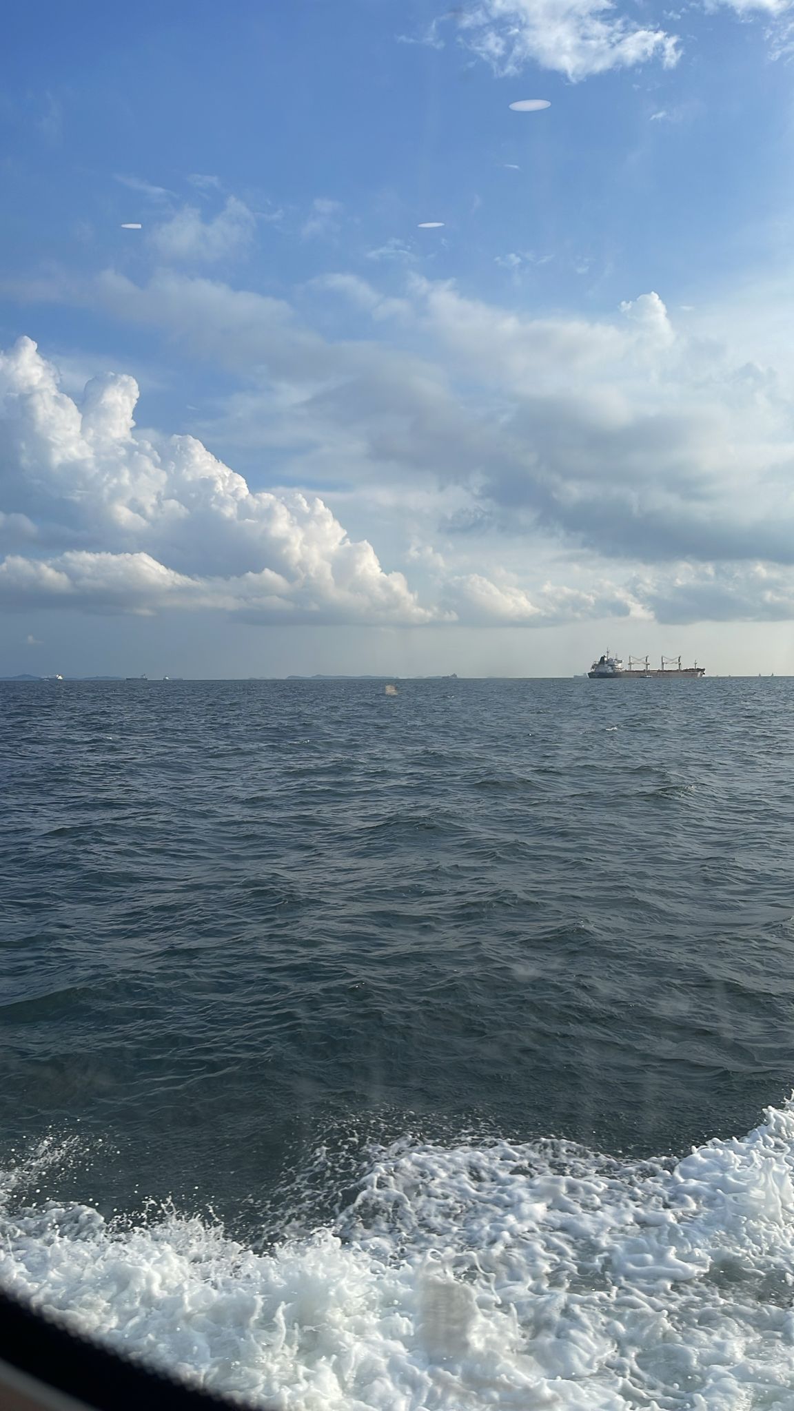 Majestic Fast Ferry - Others
