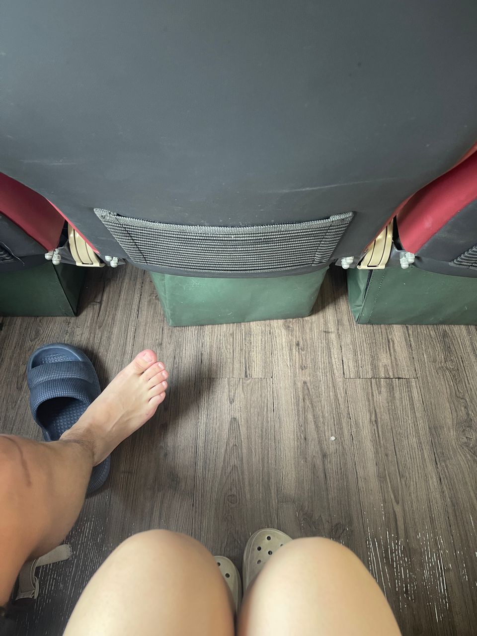 Dolphin Ferry - Others