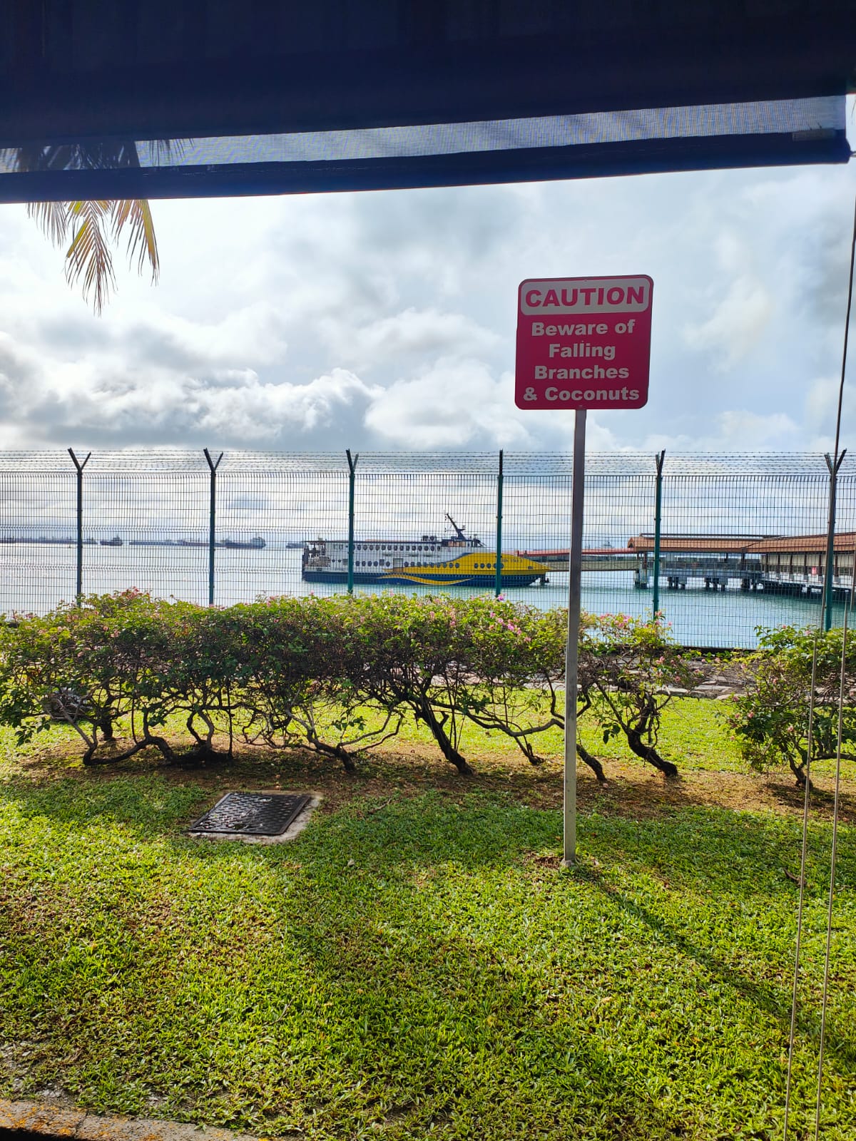 Sindo Ferry - Others