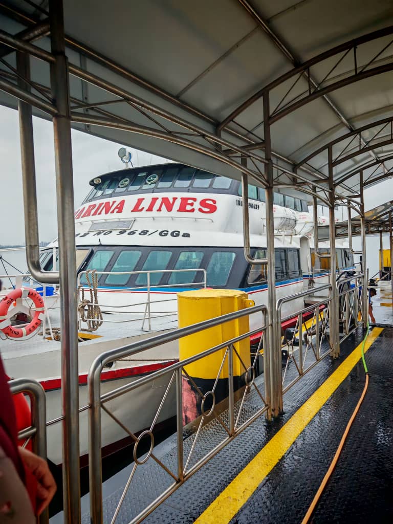 Pintas Fast Ferry - Exterior