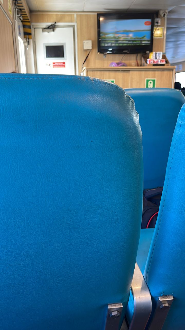 Dolphin Ferry - Interior