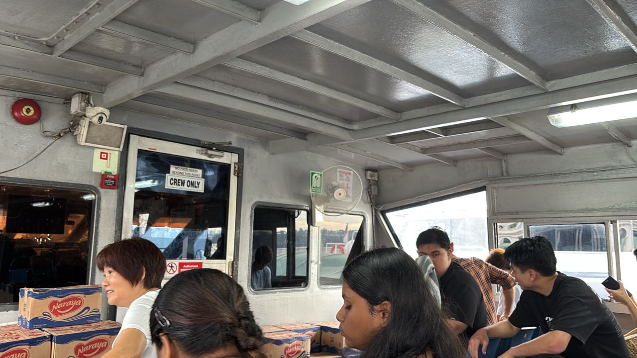 Dolphin Ferry - Interior