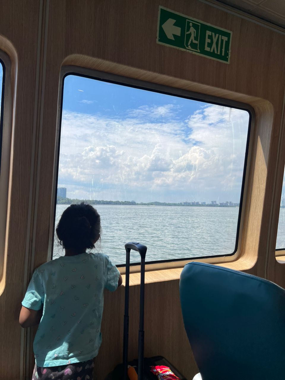 Dolphin Ferry - Others