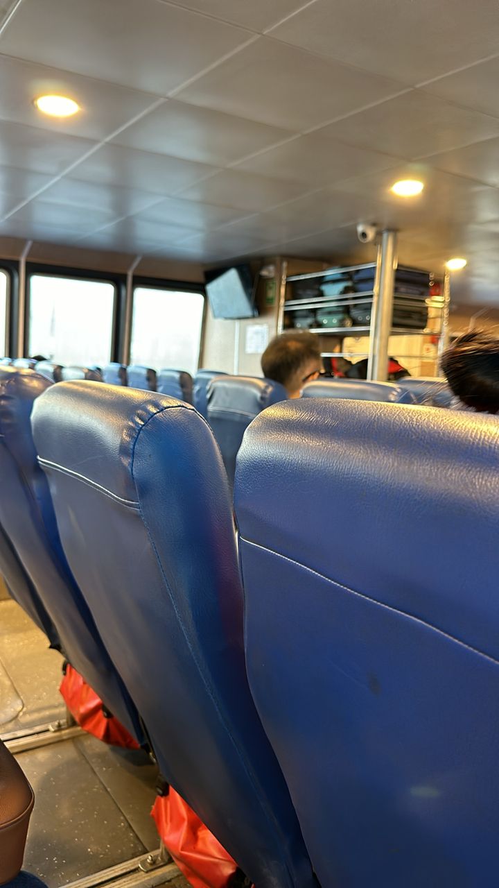 Dolphin Ferry - Interior