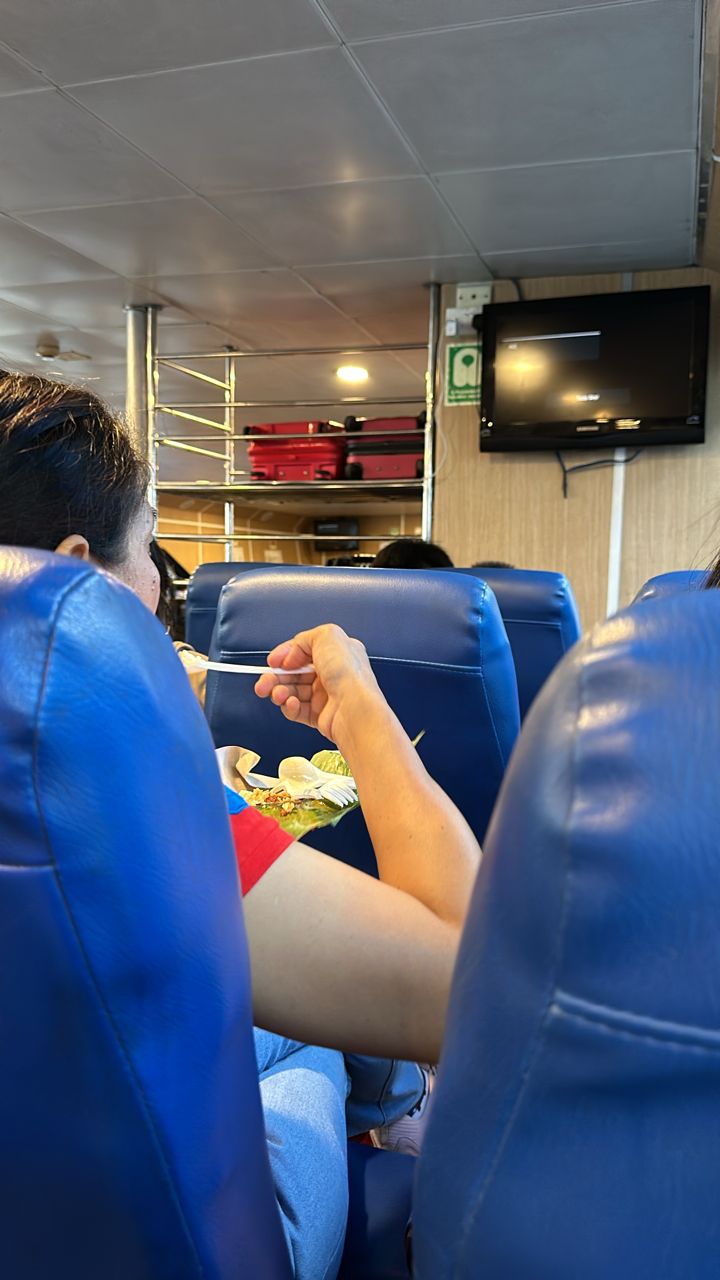 Dolphin Ferry - Interior