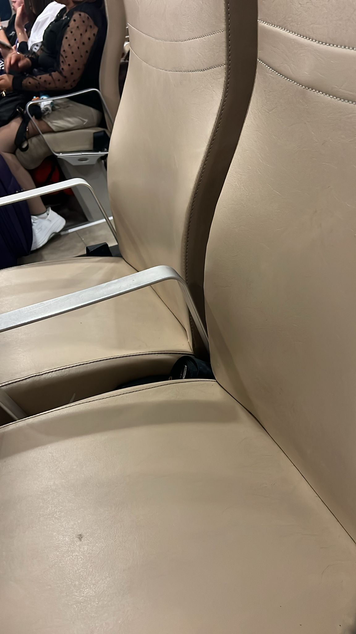 Horizon Ferry - Interior, Amenities
