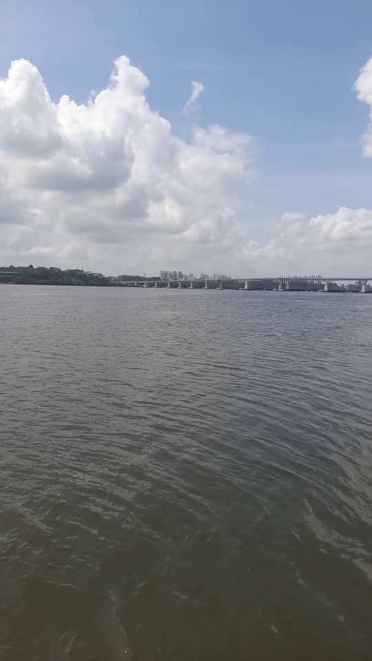 Dolphin Ferry - Others
