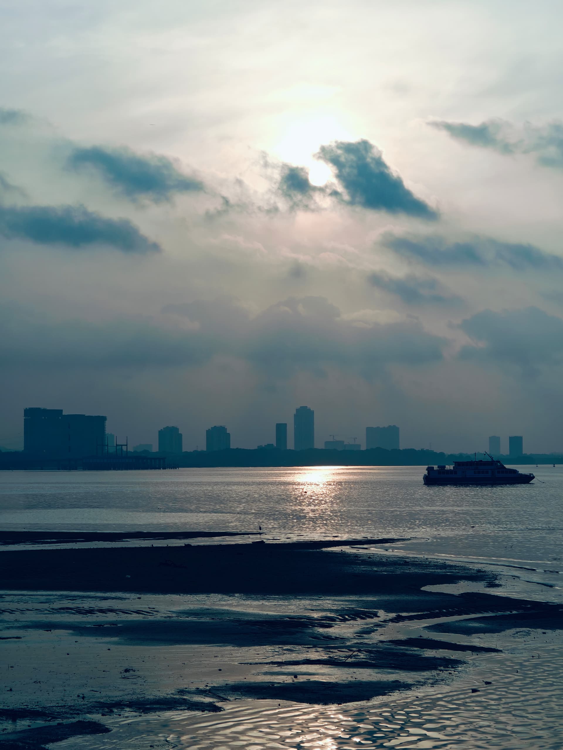 Dolphin Ferry - Others