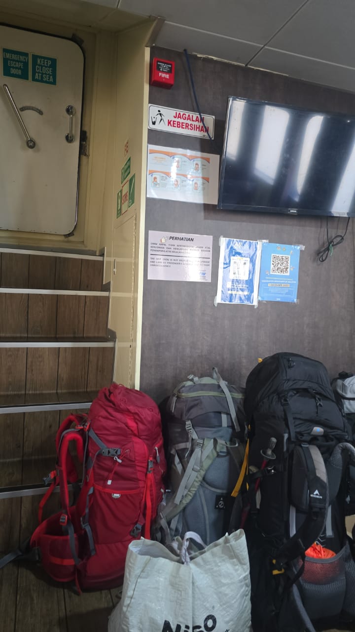 Dolphin Ferries - Interior