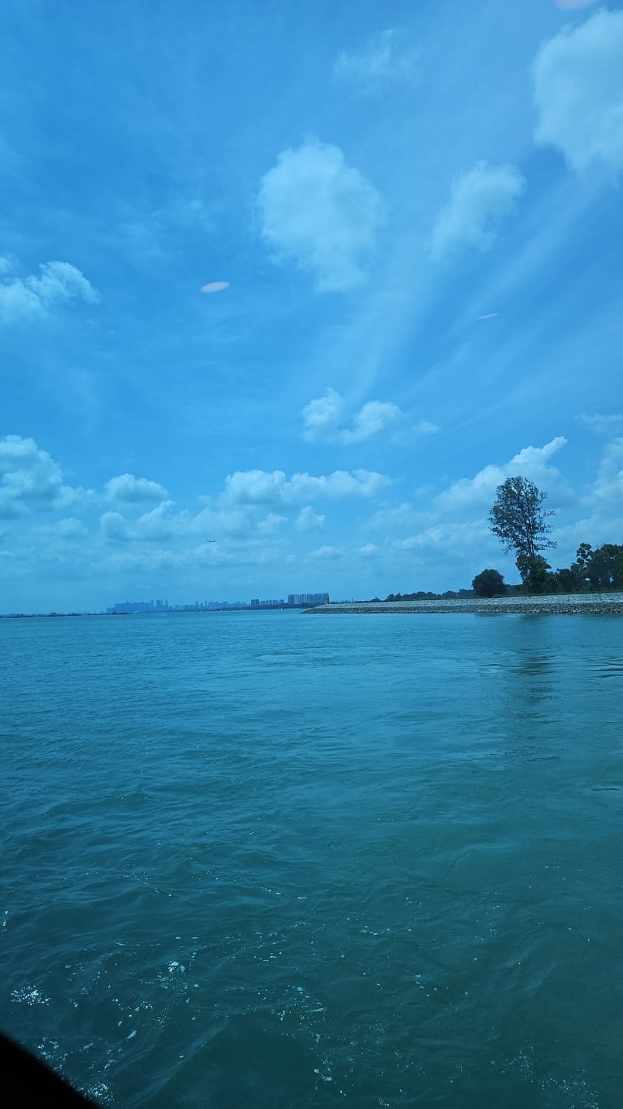 Sindo Ferry - Others