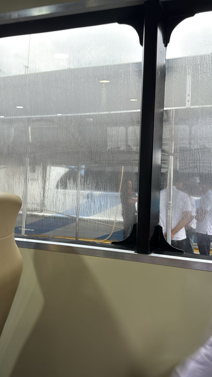 Dolphin Ferries - Interior