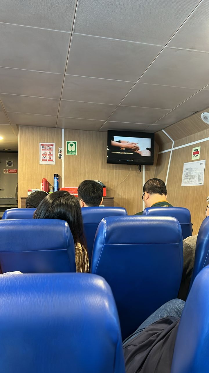 Dolphin Ferry - Interior