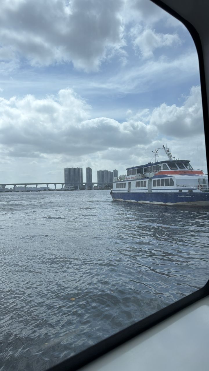 Pintas Fast Ferry - BP