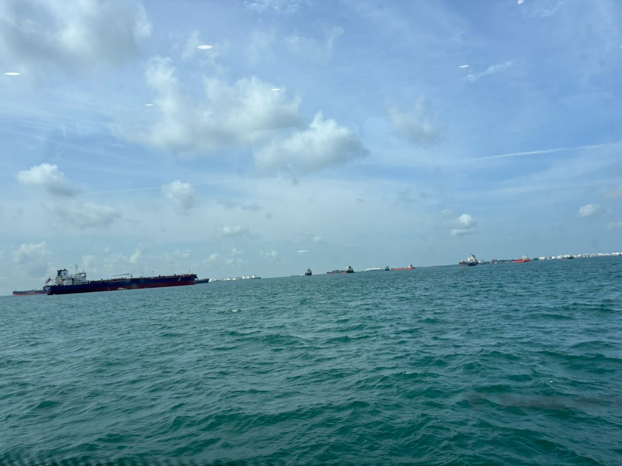 Majestic Fast Ferry - Others