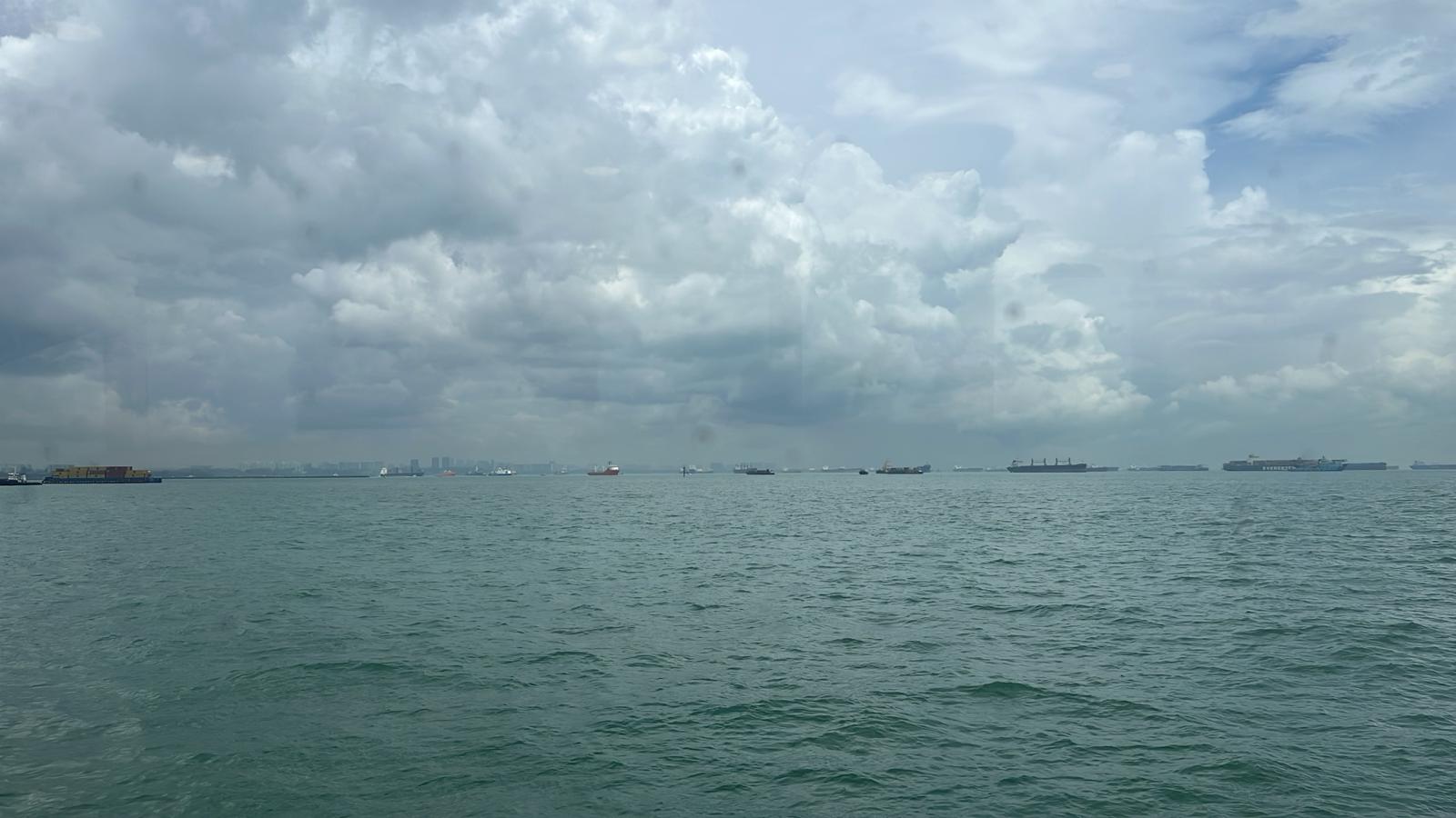 Sindo Ferry - Others